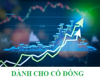 co dong